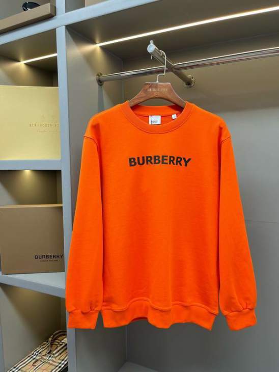 Picture of Burberry Sweatshirt _SKUBurberryS-2XLaztx859930940